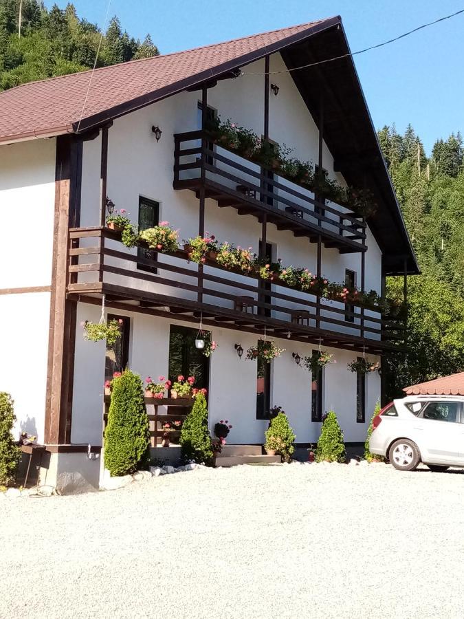 Casa Ursului Villa Vadu Motilor Exterior photo
