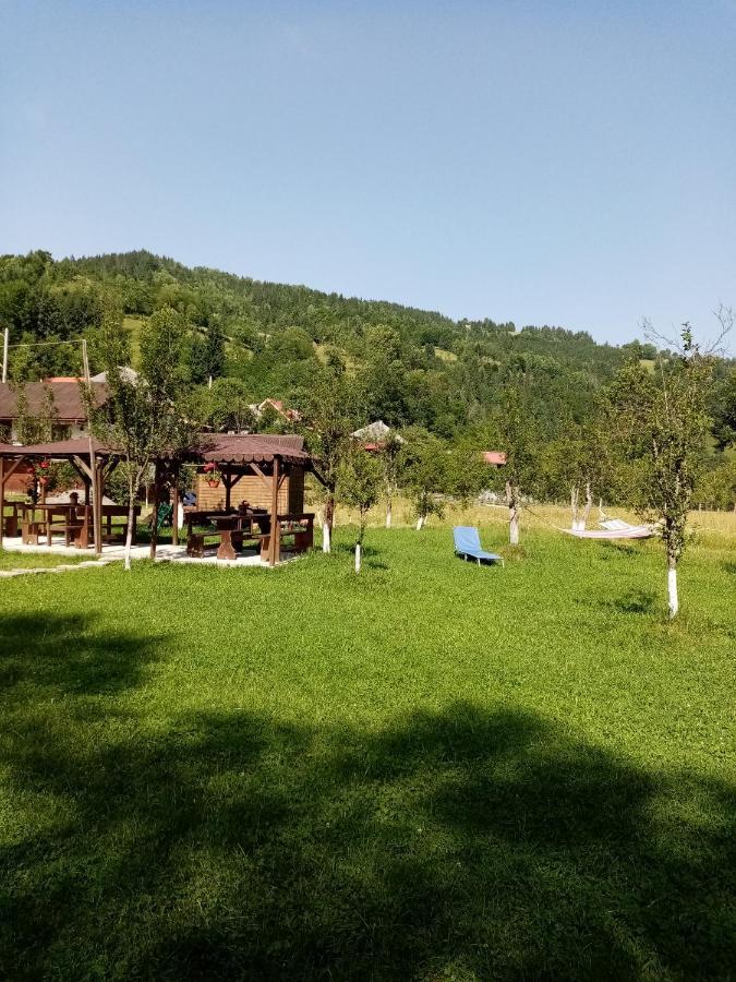 Casa Ursului Villa Vadu Motilor Exterior photo