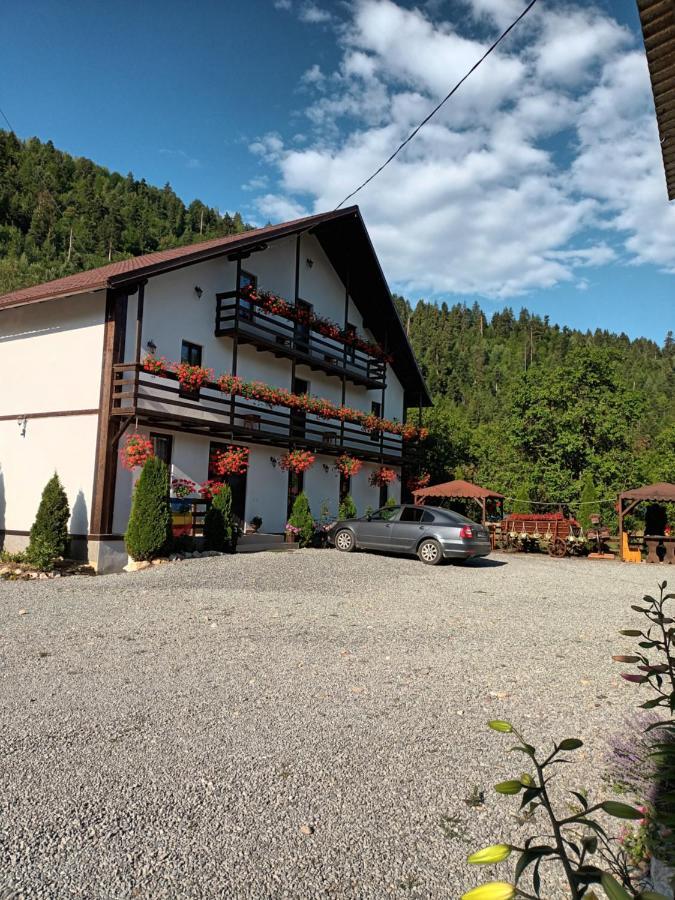 Casa Ursului Villa Vadu Motilor Exterior photo