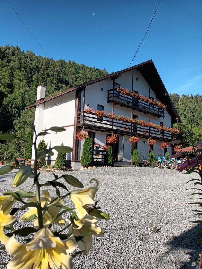 Casa Ursului Villa Vadu Motilor Exterior photo